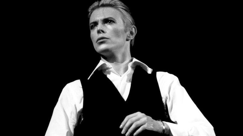 Thin White Duke