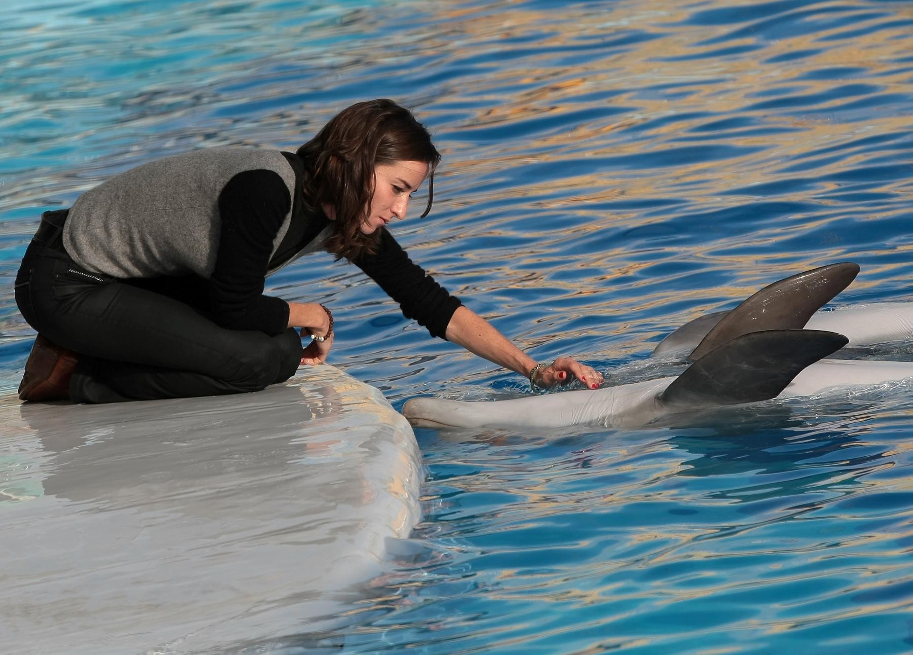 rencontre avec les dauphins nice