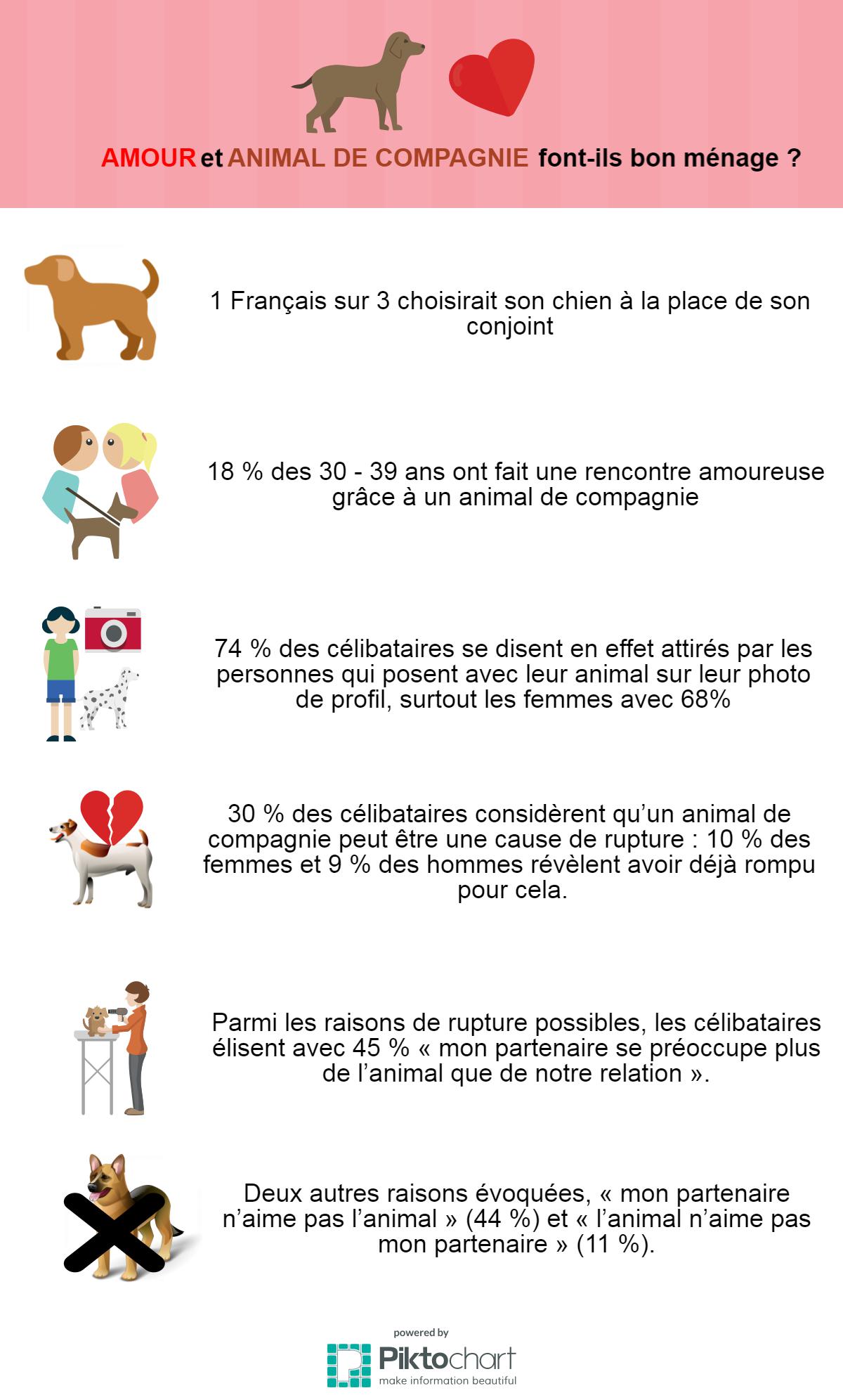 rencontres animaux compagnie