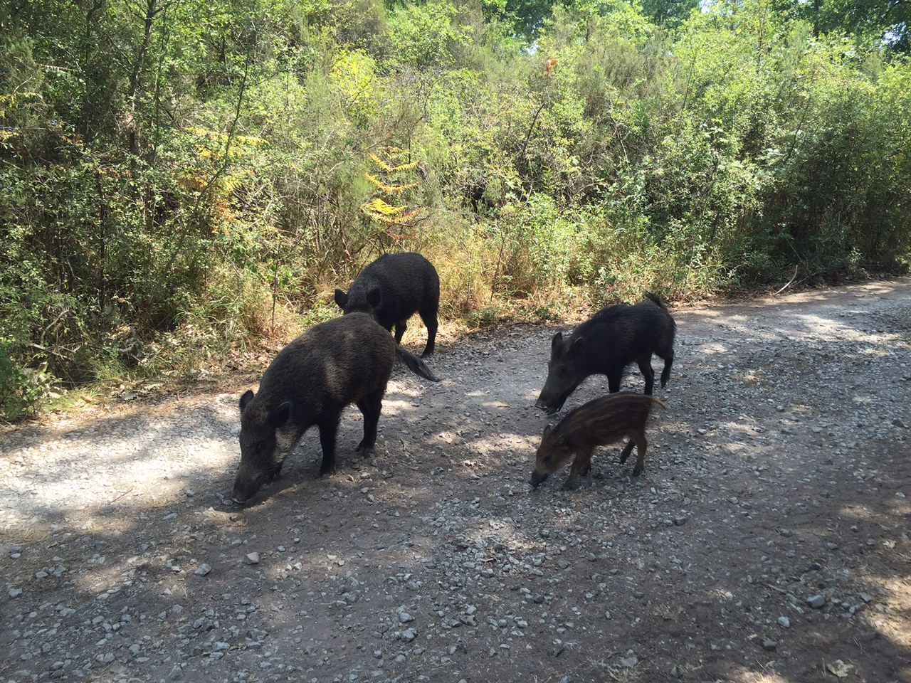 Ils se sont rencontres au bord du chemin
